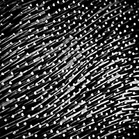 Linien, Formen, Strukturen