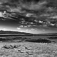 Landschaft monochrom