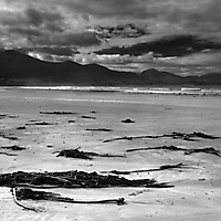 Landschaft monochrom