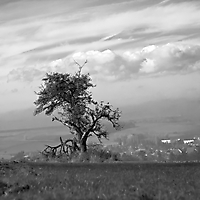 Landschaft monochrom