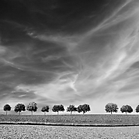 Landschaft monochrom