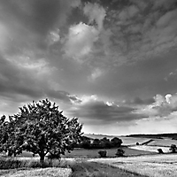 Landschaft monochrom