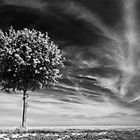 Landschaft monochrom