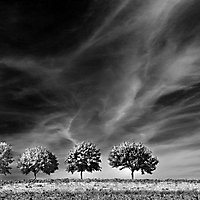 Landschaft monochrom
