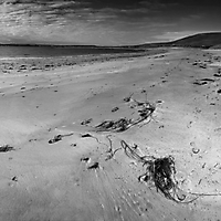 Landschaft monochrom