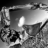 Technik monochrom