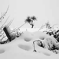 Winter in Taunusstein