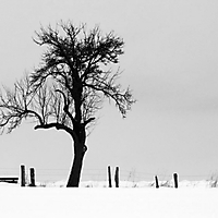 Winter in Taunusstein