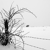 Winter in Taunusstein