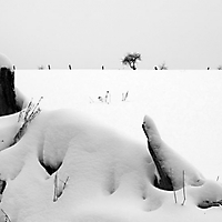 Winter in Taunusstein
