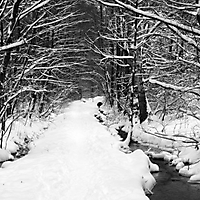 Winter in Taunusstein