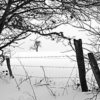 Winter in Taunusstein
