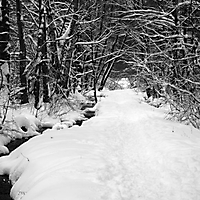 Winter in Taunusstein