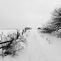 Winter in Taunusstein