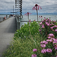 Bodensee