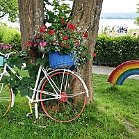 Bodensee