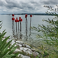Bodensee