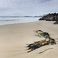 Irland
