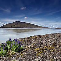 Island