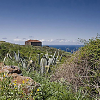 La Palma
