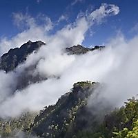 La Palma