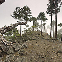 La Palma