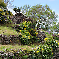 La Palma