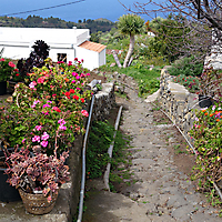 La Palma