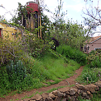 La Palma