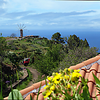 La Palma