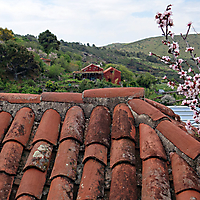 La Palma