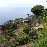 La Palma