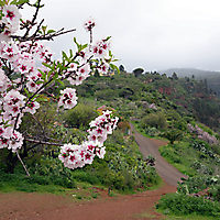 La Palma