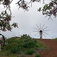 La Palma