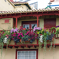La Palma