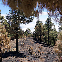 La Palma