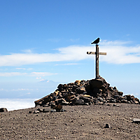La Palma