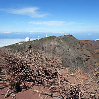 La Palma