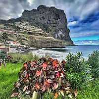 Madeira