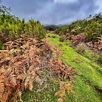 Madeira 2022