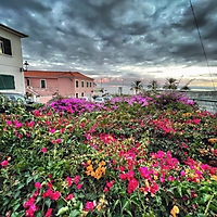 Madeira