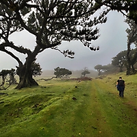 Madeira 2022