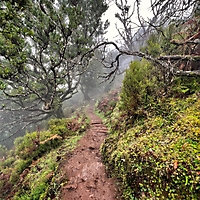 Madeira 2022