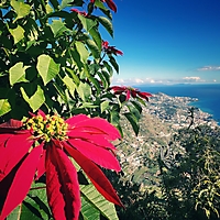 Madeira 2022