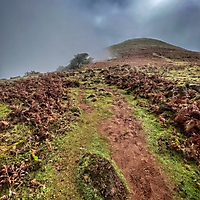 Madeira