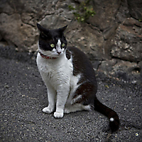 Mallorca