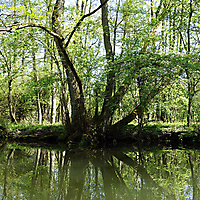 Mecklenburger Seenplatte