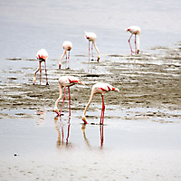 Region Swakopmund