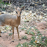 Waterberg