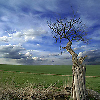 Rhein-Main-Gebiet